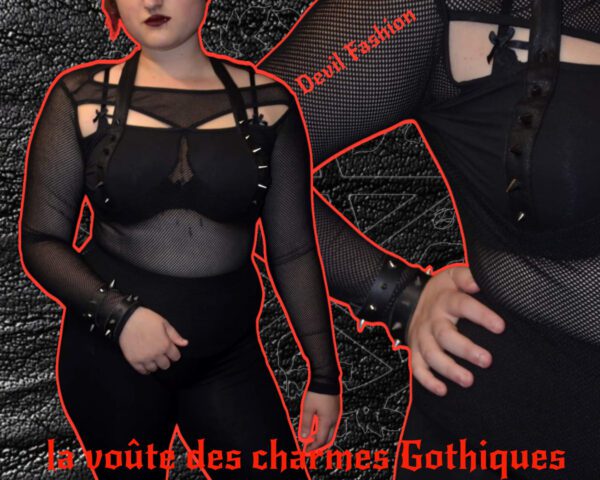 Top Devil fashion manche long style Fishnet ''piquant