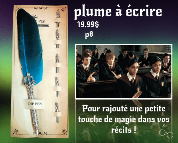 Plumes à écrit ( Avec 6 embouts différent en surplus)