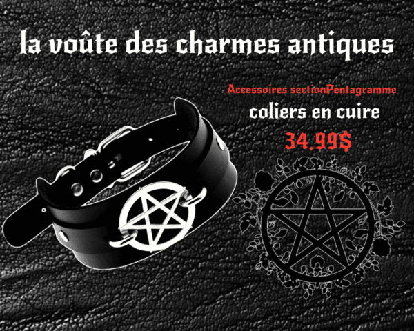 choker en cuirette noir - Image 3