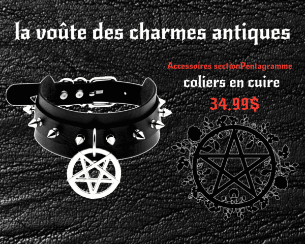 choker en cuirette noir - Image 4