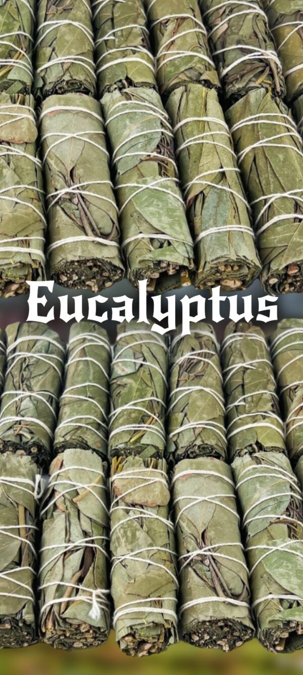 bâton d'eucalyptus bio 'chasse énergie & entités négative