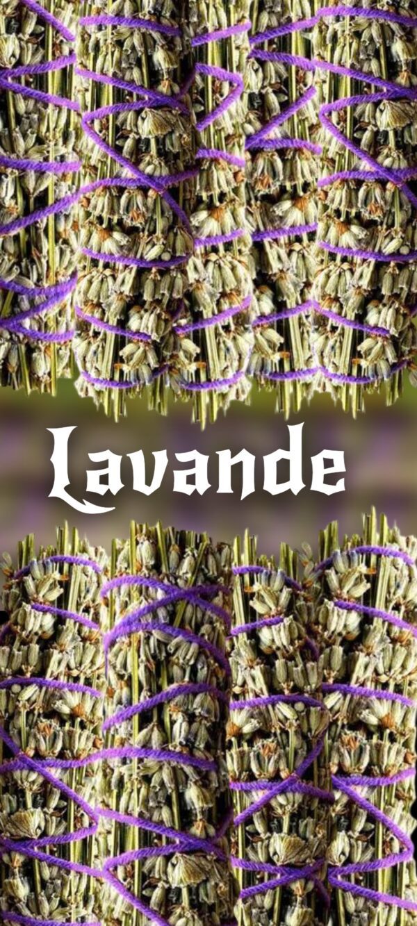 Lavande bio  ''Retour à la paix, protection & sérénité''