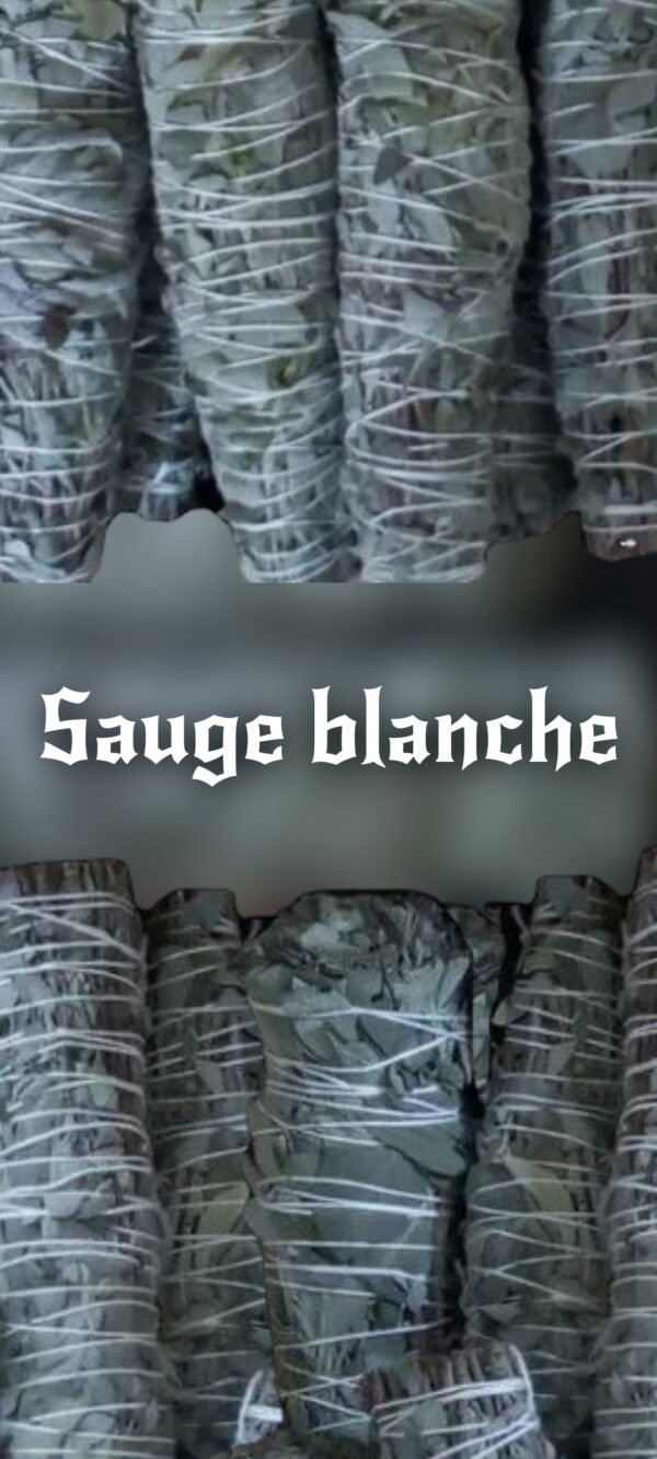 bâton de sauge bio