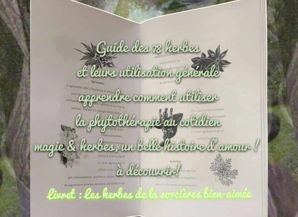 livret : répertoire des herbes & utilisation de la sorcière bien aimée