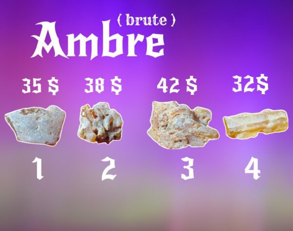 Ambre (Brute) 
( 2po environ)